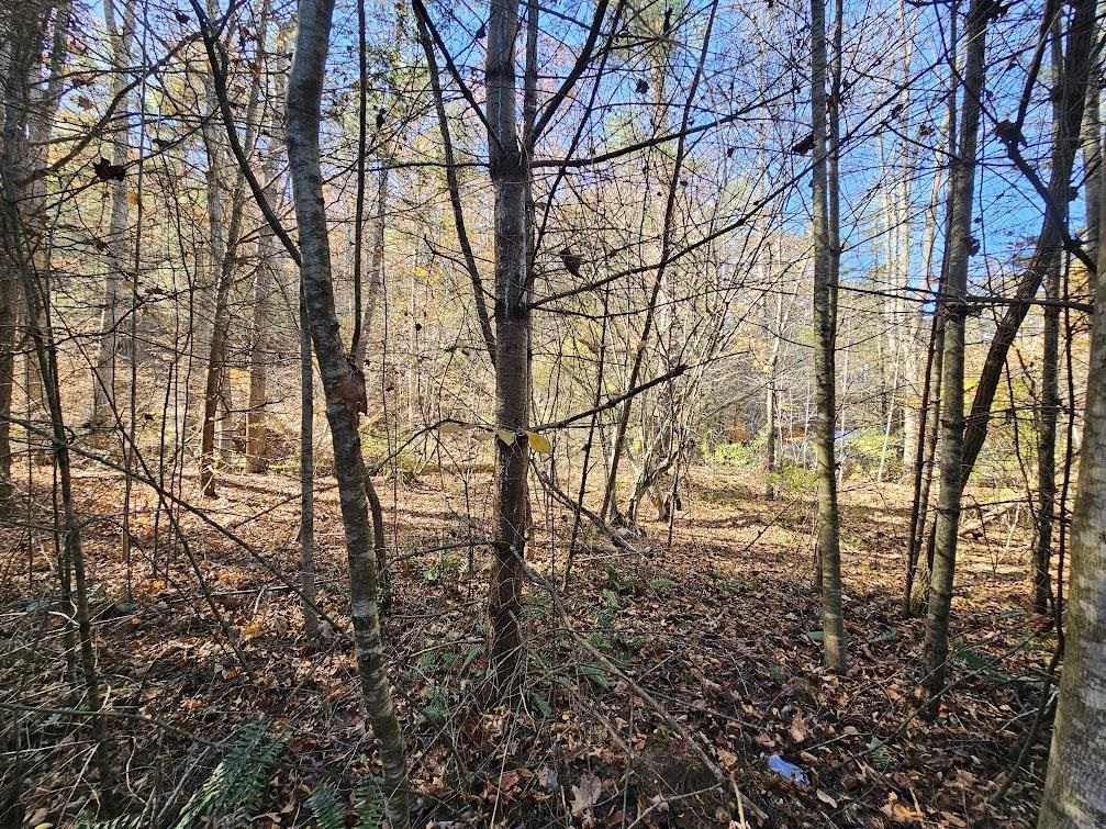 2804 OLD PARKERSBURG TPKE, WEST AUGUSTA, Virginia 24485, 2 Bedrooms Bedrooms, ,1 BathroomBathrooms,Residential,Hanger Camp,2804 OLD PARKERSBURG TPKE,670950 MLS # 670950