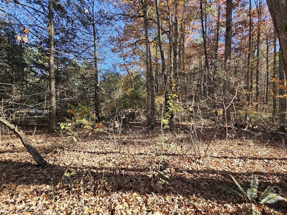 2804 OLD PARKERSBURG TPKE, WEST AUGUSTA, Virginia 24485, 2 Bedrooms Bedrooms, ,1 BathroomBathrooms,Residential,Hanger Camp,2804 OLD PARKERSBURG TPKE,670950 MLS # 670950