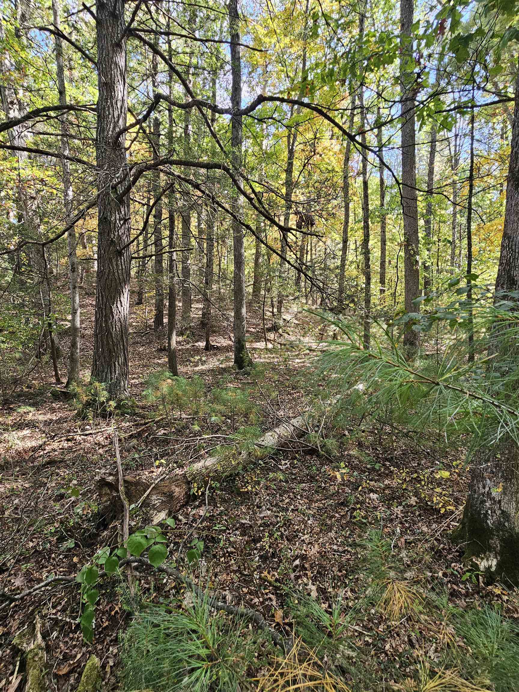 2804 OLD PARKERSBURG TPKE, WEST AUGUSTA, Virginia 24485, 2 Bedrooms Bedrooms, ,1 BathroomBathrooms,Residential,Hanger Camp,2804 OLD PARKERSBURG TPKE,670950 MLS # 670950