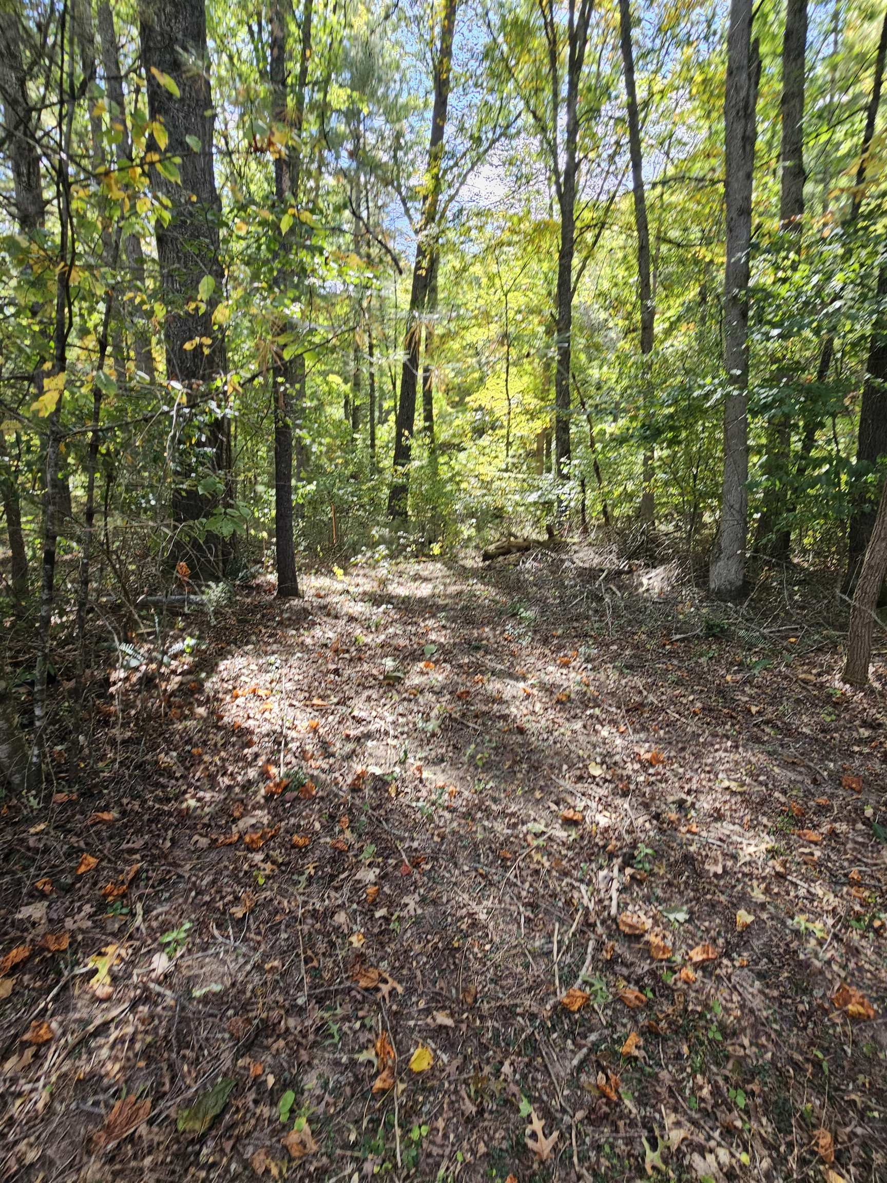 2804 OLD PARKERSBURG TPKE, WEST AUGUSTA, Virginia 24485, 2 Bedrooms Bedrooms, ,1 BathroomBathrooms,Residential,Hanger Camp,2804 OLD PARKERSBURG TPKE,670950 MLS # 670950