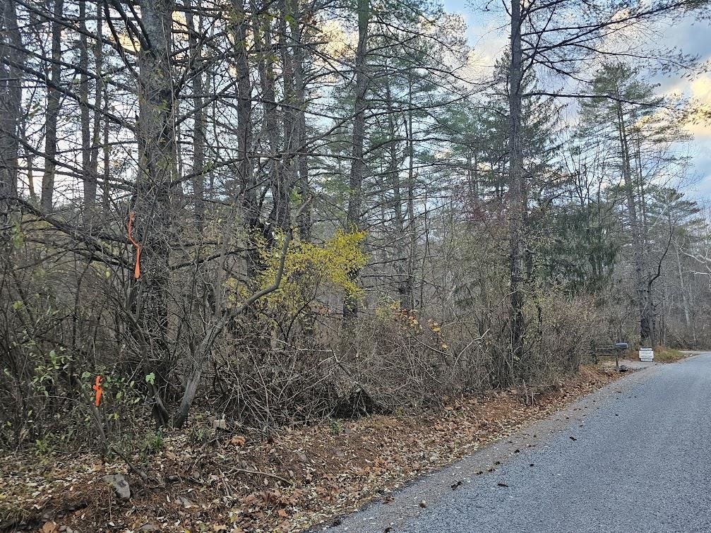 2804 OLD PARKERSBURG TPKE, WEST AUGUSTA, Virginia 24485, 2 Bedrooms Bedrooms, ,1 BathroomBathrooms,Residential,Hanger Camp,2804 OLD PARKERSBURG TPKE,670950 MLS # 670950