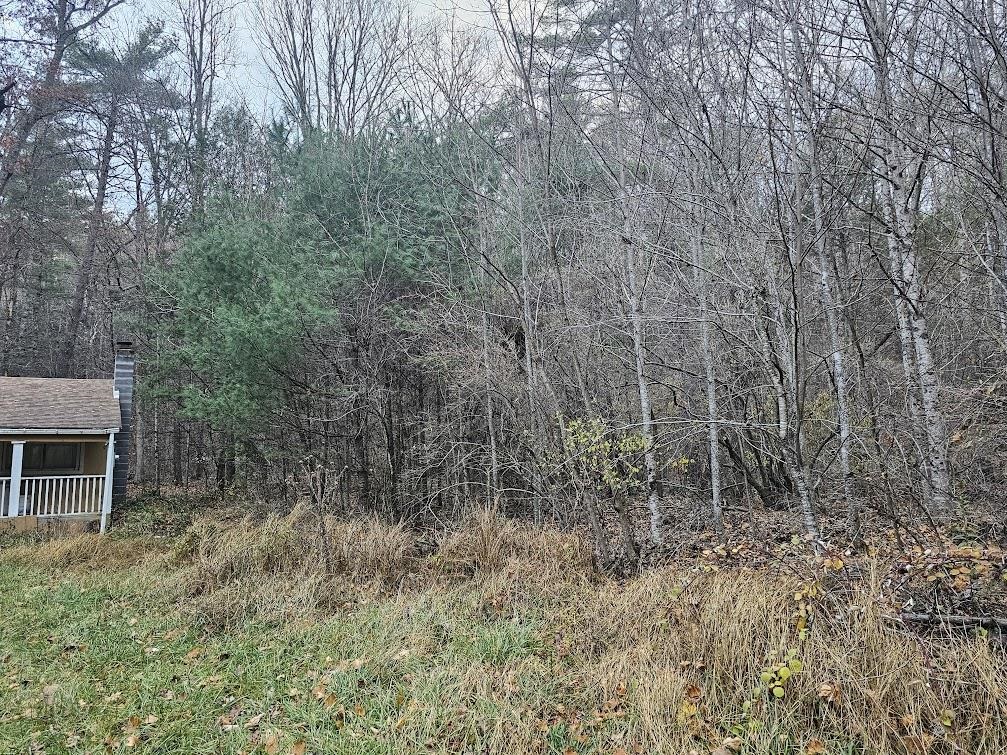 2804 OLD PARKERSBURG TPKE, WEST AUGUSTA, Virginia 24485, 2 Bedrooms Bedrooms, ,1 BathroomBathrooms,Residential,Hanger Camp,2804 OLD PARKERSBURG TPKE,670950 MLS # 670950