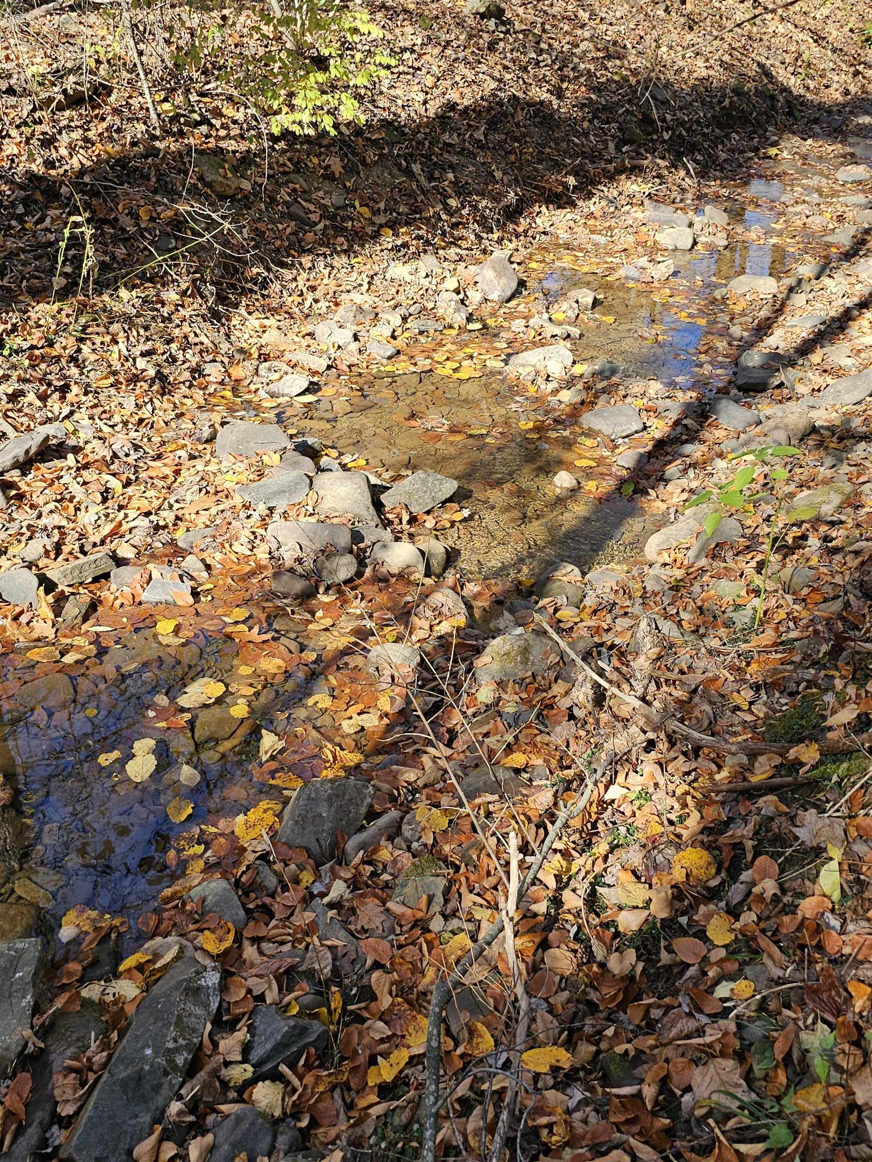 2804 OLD PARKERSBURG TPKE, WEST AUGUSTA, Virginia 24485, 2 Bedrooms Bedrooms, ,1 BathroomBathrooms,Residential,Hanger Camp,2804 OLD PARKERSBURG TPKE,670950 MLS # 670950