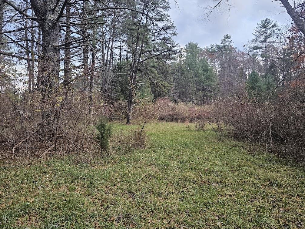 2804 OLD PARKERSBURG TPKE, WEST AUGUSTA, Virginia 24485, 2 Bedrooms Bedrooms, ,1 BathroomBathrooms,Residential,Hanger Camp,2804 OLD PARKERSBURG TPKE,670950 MLS # 670950