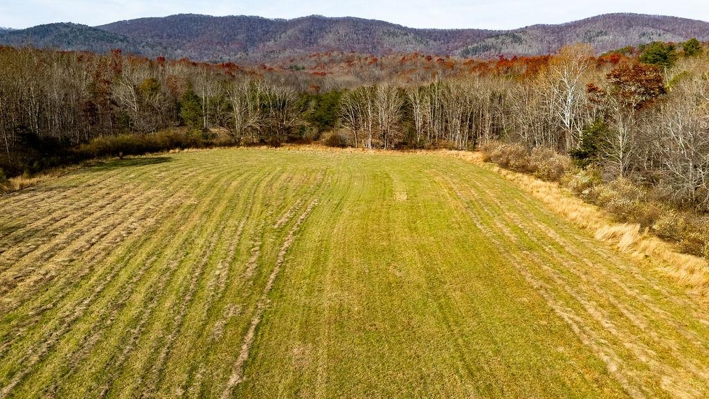 TBD JACKSON RIVER RD, MONTEREY, Virginia 24465, ,Farm,TBD JACKSON RIVER RD,670967 MLS # 670967 TBD JACKSON RIVER RD, MONTEREY, Virginia 24465, ,Farm,TBD JACKSON RIVER RD,670967 MLS # 670967