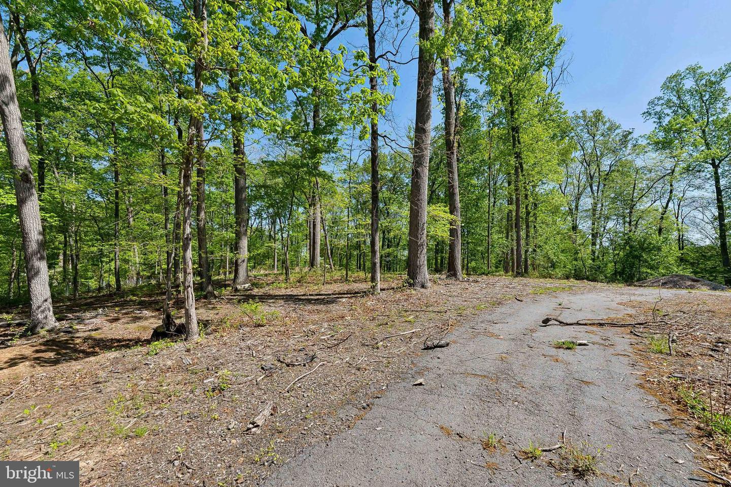 1000 MANNING ST, GREAT FALLS, Virginia 22066, ,Land,For sale,1000 MANNING ST,VAFX2168086 MLS # VAFX2168086