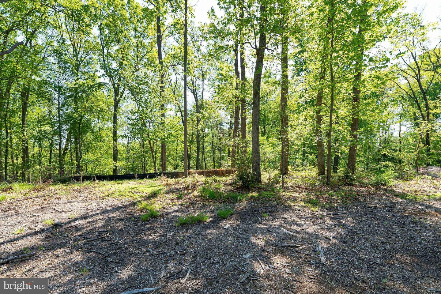 1000 MANNING ST, GREAT FALLS, Virginia 22066, ,Land,For sale,1000 MANNING ST,VAFX2168086 MLS # VAFX2168086