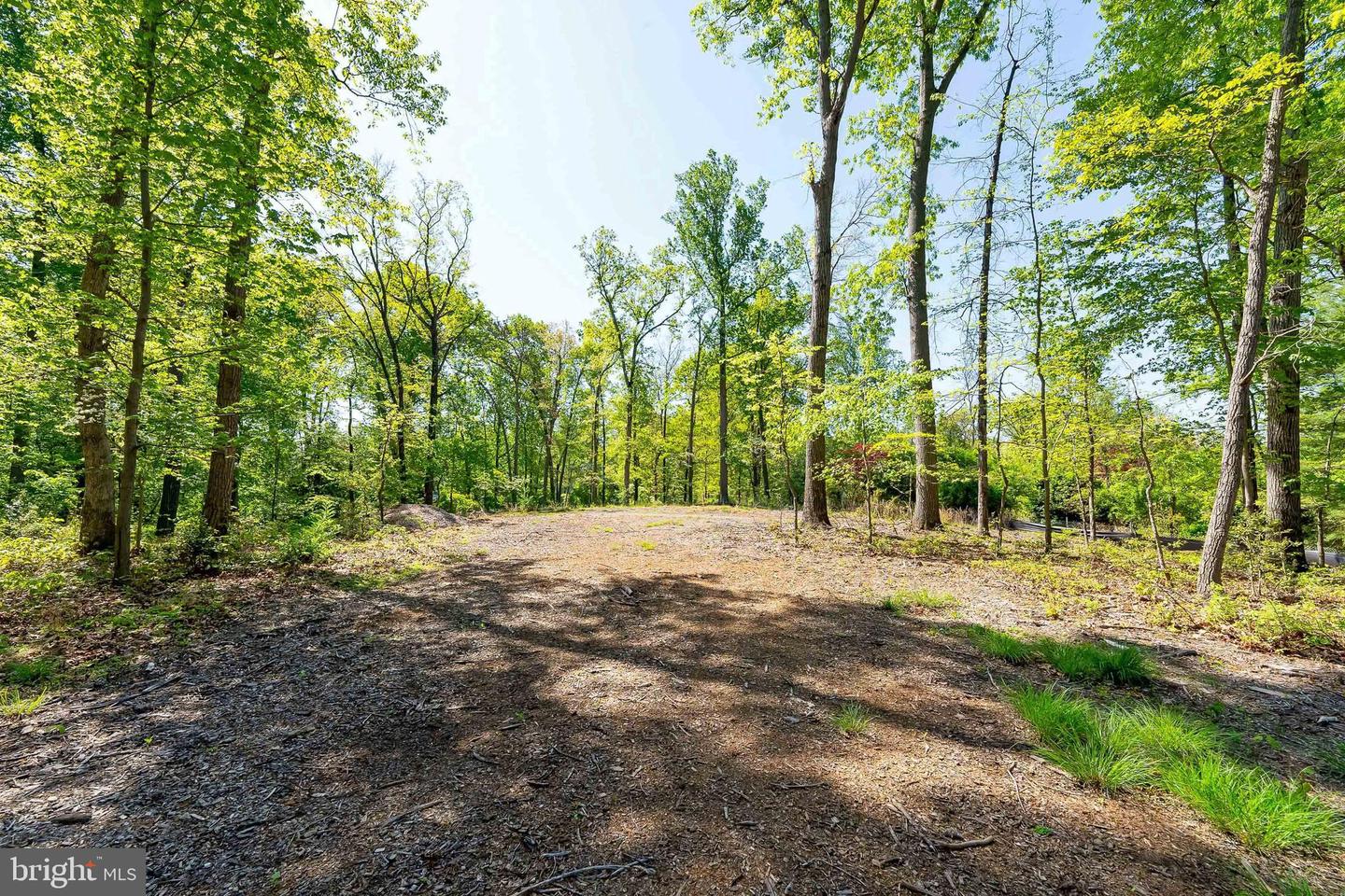 1000 MANNING ST, GREAT FALLS, Virginia 22066, ,Land,For sale,1000 MANNING ST,VAFX2168086 MLS # VAFX2168086