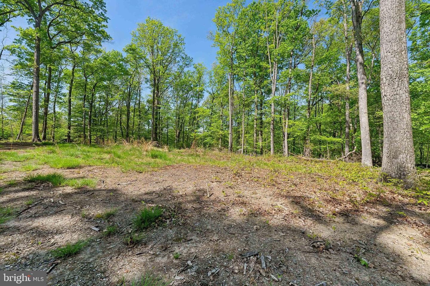 1000 MANNING ST, GREAT FALLS, Virginia 22066, ,Land,For sale,1000 MANNING ST,VAFX2168086 MLS # VAFX2168086