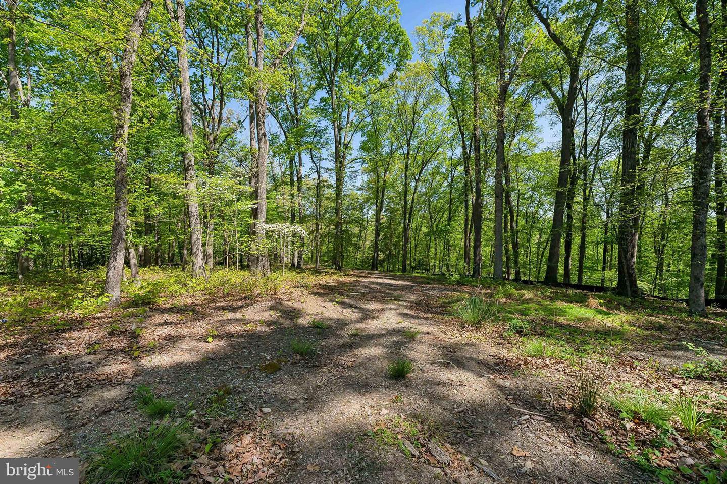 1000 MANNING ST, GREAT FALLS, Virginia 22066, ,Land,For sale,1000 MANNING ST,VAFX2168086 MLS # VAFX2168086