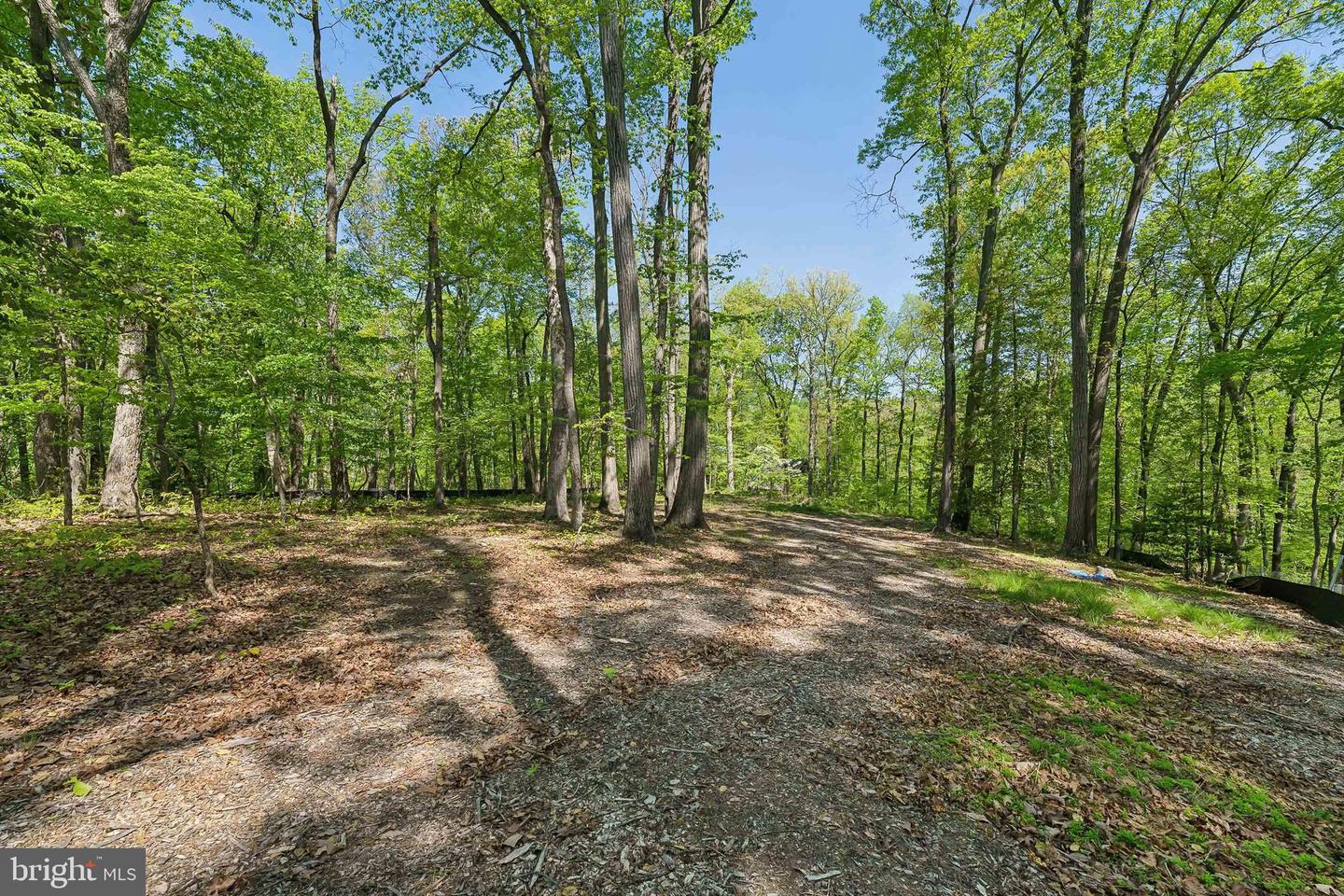 1000 MANNING ST, GREAT FALLS, Virginia 22066, ,Land,For sale,1000 MANNING ST,VAFX2168086 MLS # VAFX2168086