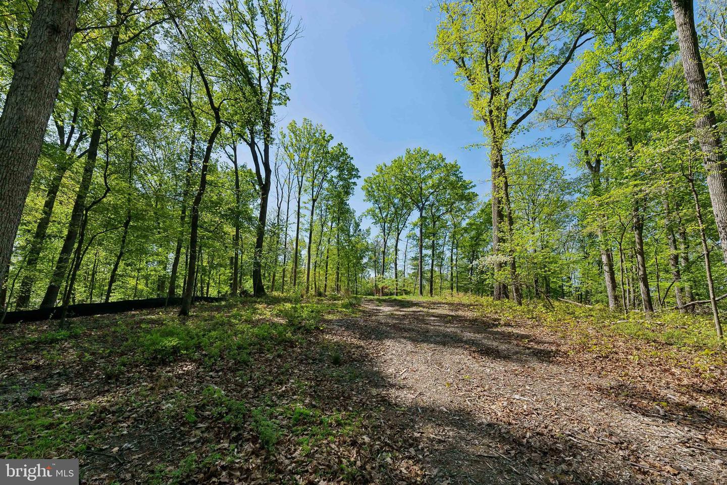 1000 MANNING ST, GREAT FALLS, Virginia 22066, ,Land,For sale,1000 MANNING ST,VAFX2168086 MLS # VAFX2168086