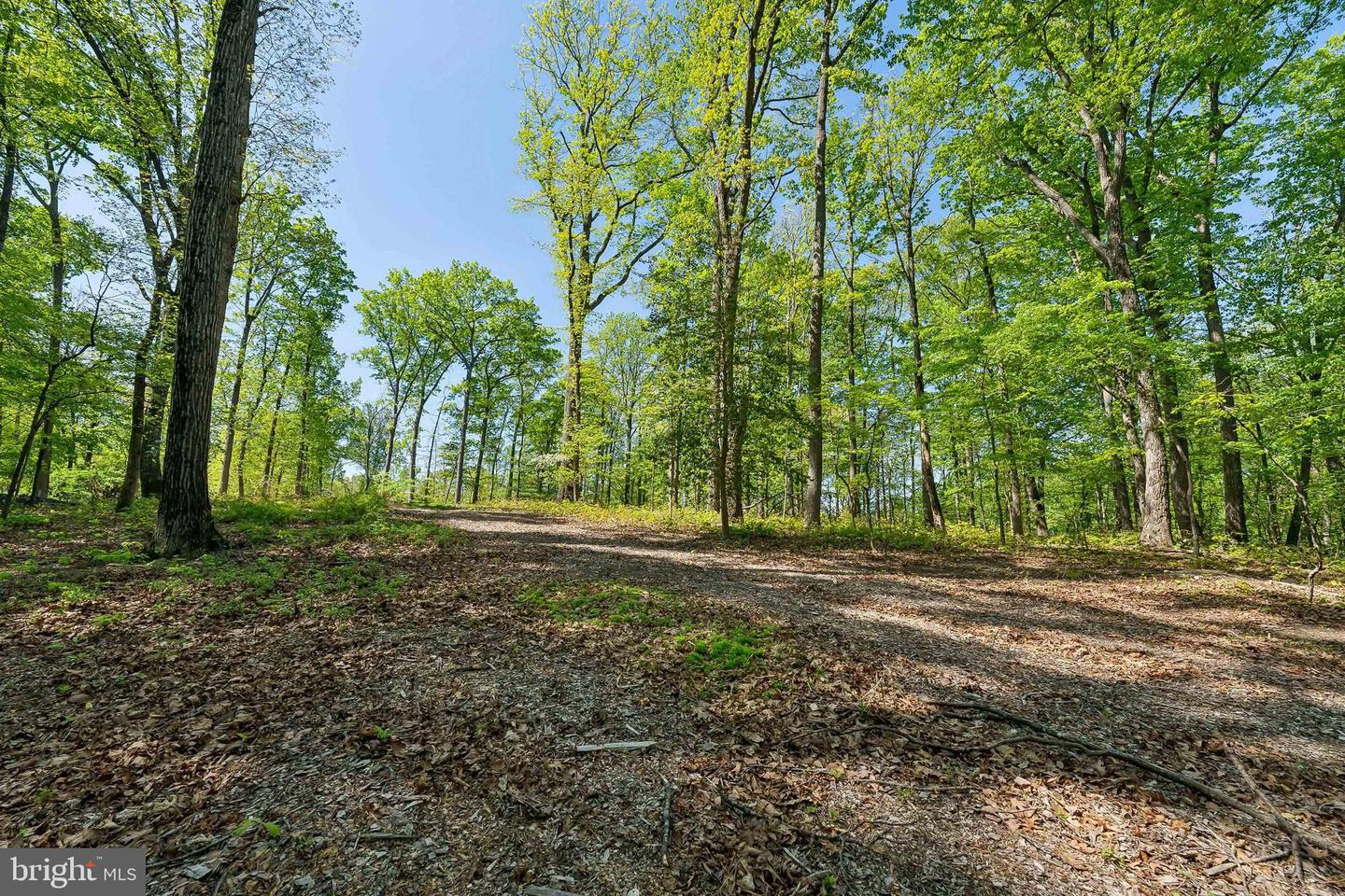 1000 MANNING ST, GREAT FALLS, Virginia 22066, ,Land,For sale,1000 MANNING ST,VAFX2168086 MLS # VAFX2168086