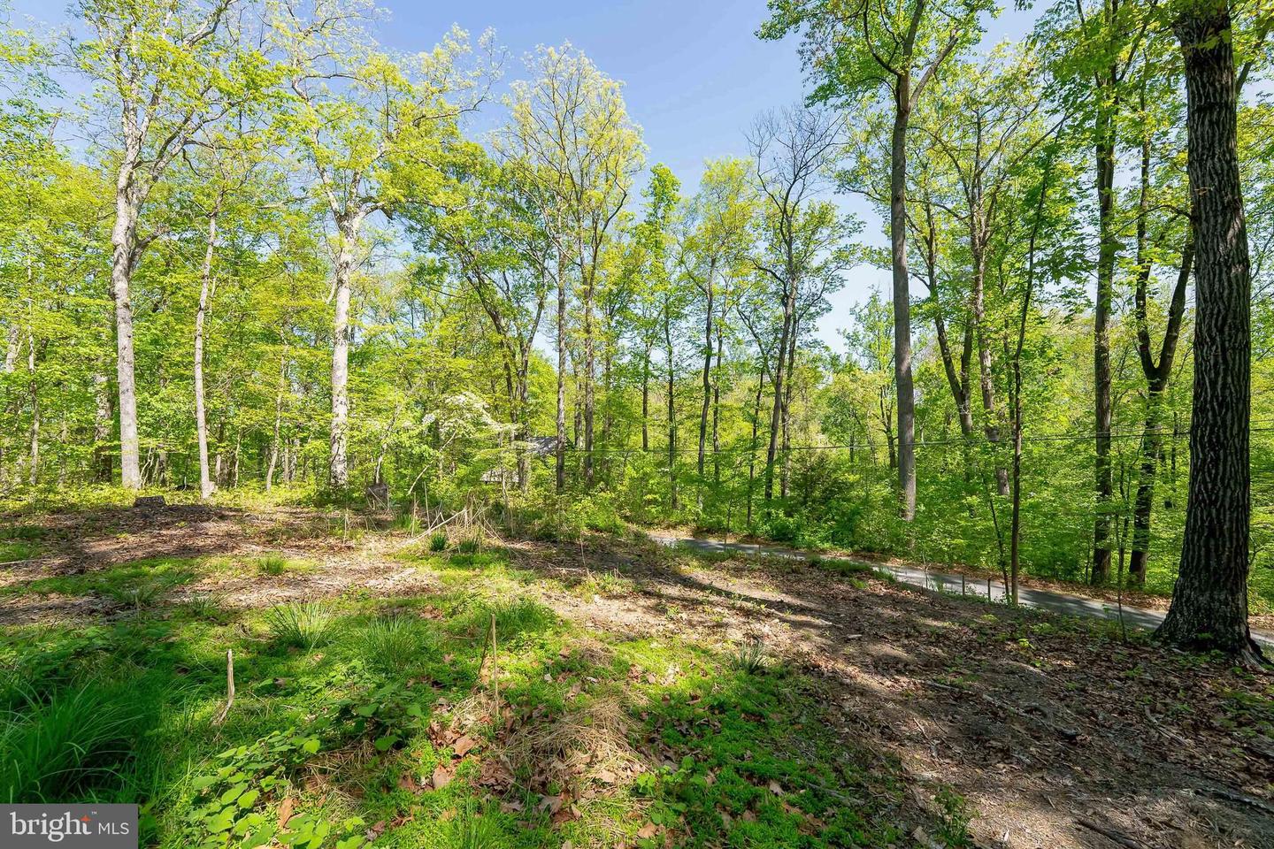 1000 MANNING ST, GREAT FALLS, Virginia 22066, ,Land,For sale,1000 MANNING ST,VAFX2168086 MLS # VAFX2168086