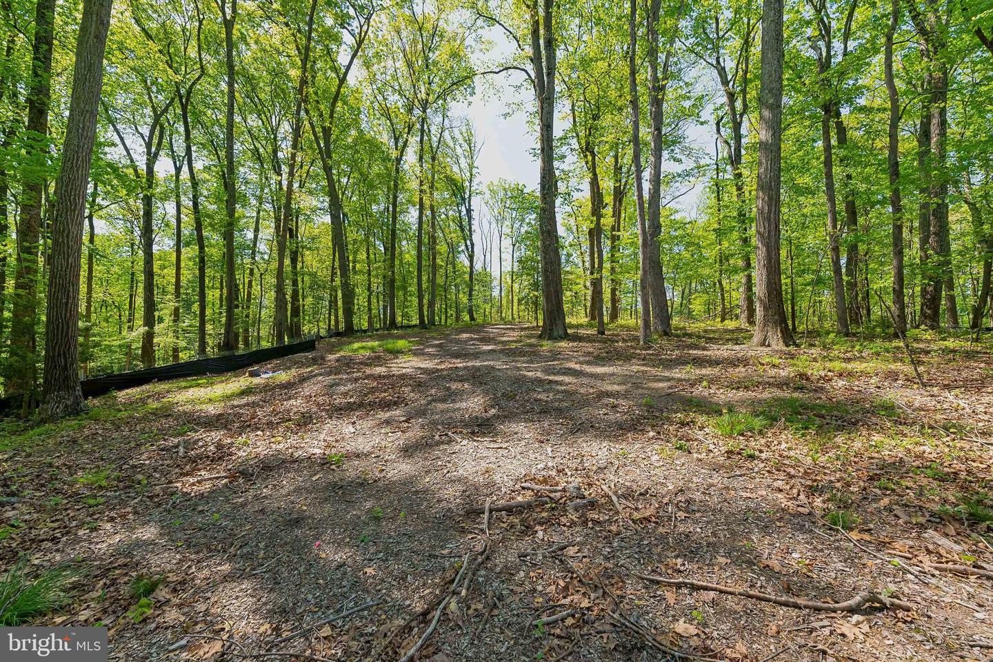 1000 MANNING ST, GREAT FALLS, Virginia 22066, ,Land,For sale,1000 MANNING ST,VAFX2168086 MLS # VAFX2168086