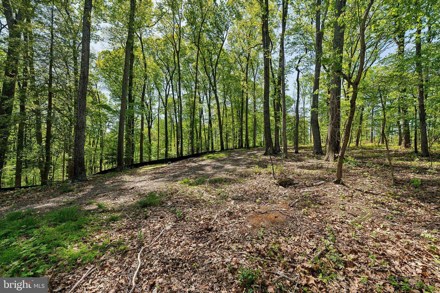 1000 MANNING ST, GREAT FALLS, Virginia 22066, ,Land,For sale,1000 MANNING ST,VAFX2168086 MLS # VAFX2168086