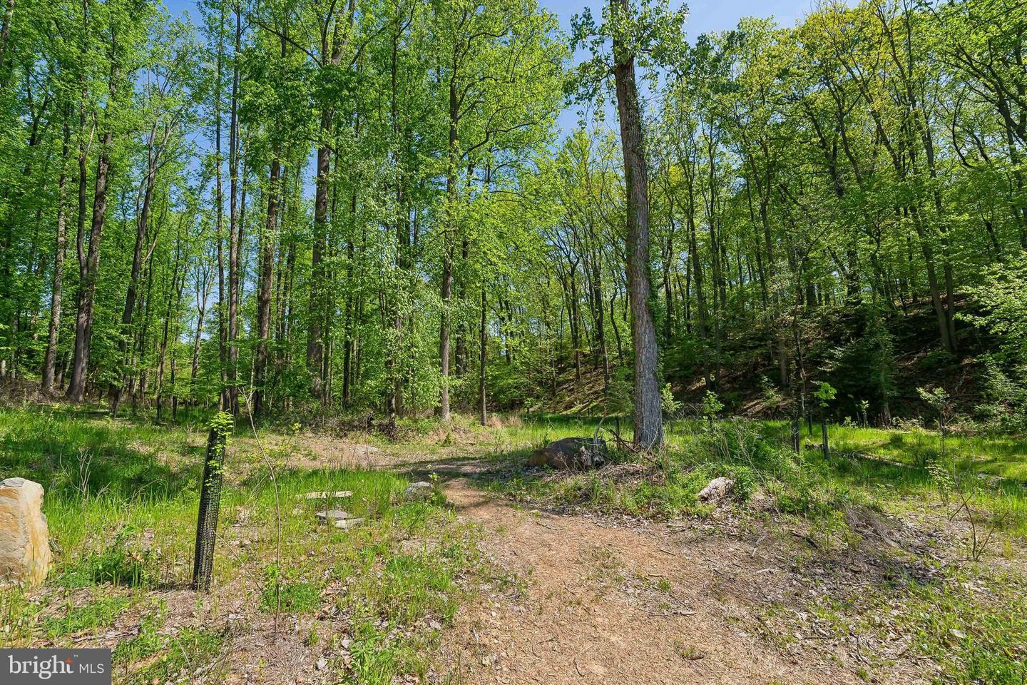 1000 MANNING ST, GREAT FALLS, Virginia 22066, ,Land,For sale,1000 MANNING ST,VAFX2168086 MLS # VAFX2168086