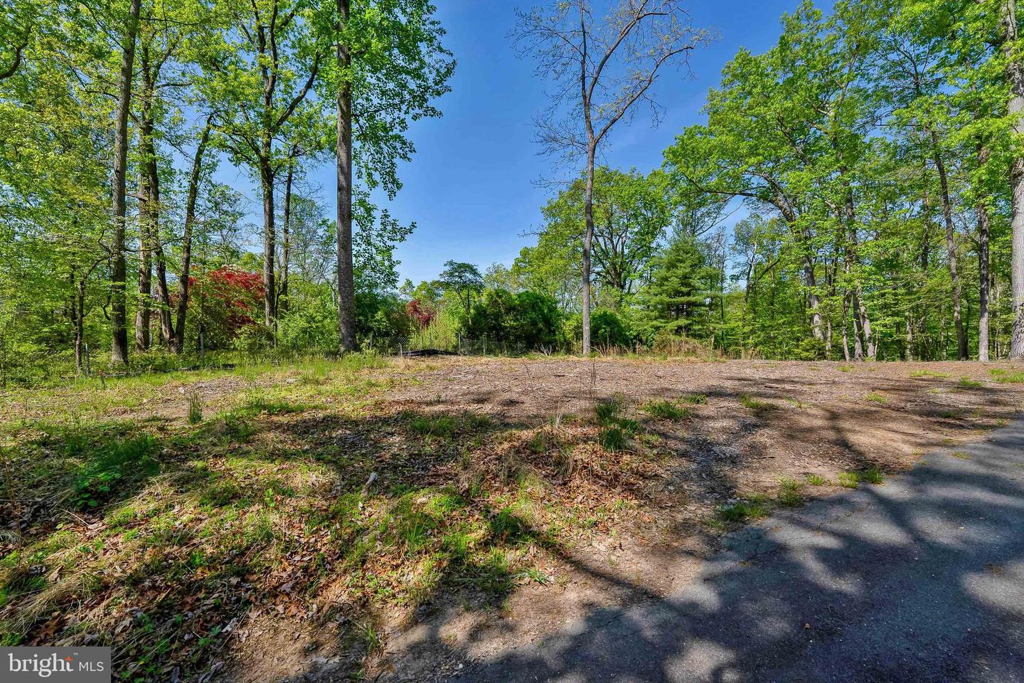 1000 MANNING ST, GREAT FALLS, Virginia 22066, ,Land,For sale,1000 MANNING ST,VAFX2168086 MLS # VAFX2168086