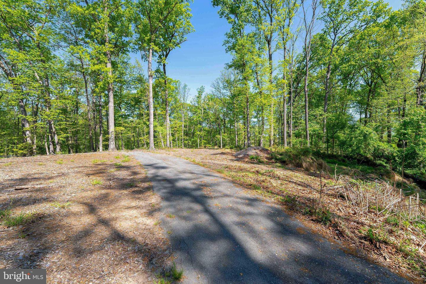 1000 MANNING ST, GREAT FALLS, Virginia 22066, ,Land,For sale,1000 MANNING ST,VAFX2168086 MLS # VAFX2168086