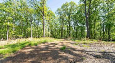 1000 MANNING ST, GREAT FALLS, Virginia 22066, ,Land,For sale,1000 MANNING ST,VAFX2168086 MLS # VAFX2168086