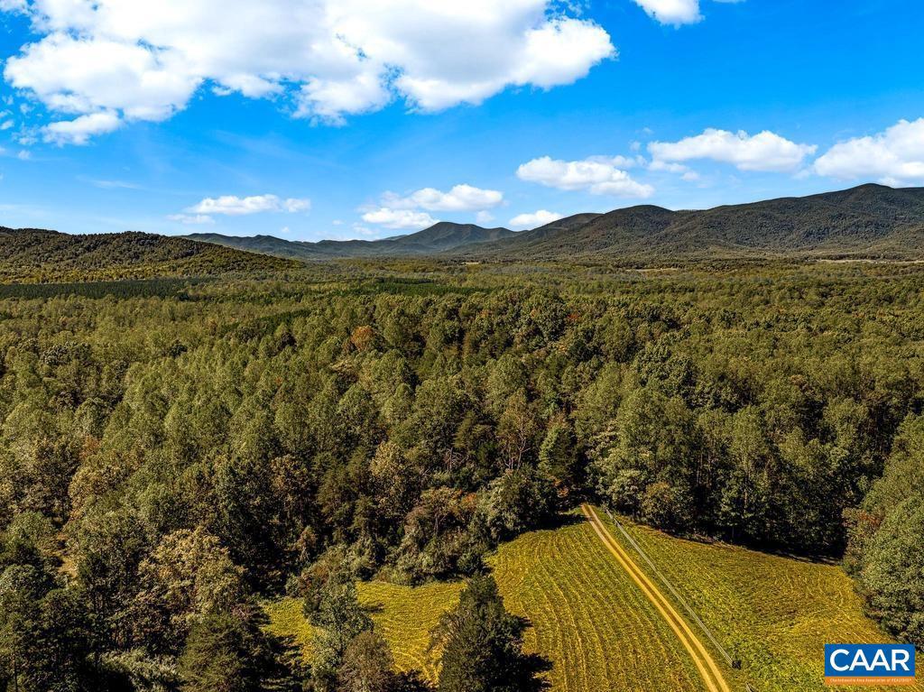 722 GREENFIELD MOUNTAIN FARM #19, 20, 21 AND 22, AFTON, Virginia 22920, ,Land,For sale,722 GREENFIELD MOUNTAIN FARM #19, 20, 21 AND 22,670951 MLS # 670951 722 GREENFIELD MOUNTAIN FARM #19, 20, 21 AND 22, AFTON, Virginia 22920, ,Land,For sale,722 GREENFIELD MOUNTAIN FARM #19, 20, 21 AND 22,670951 MLS # 670951