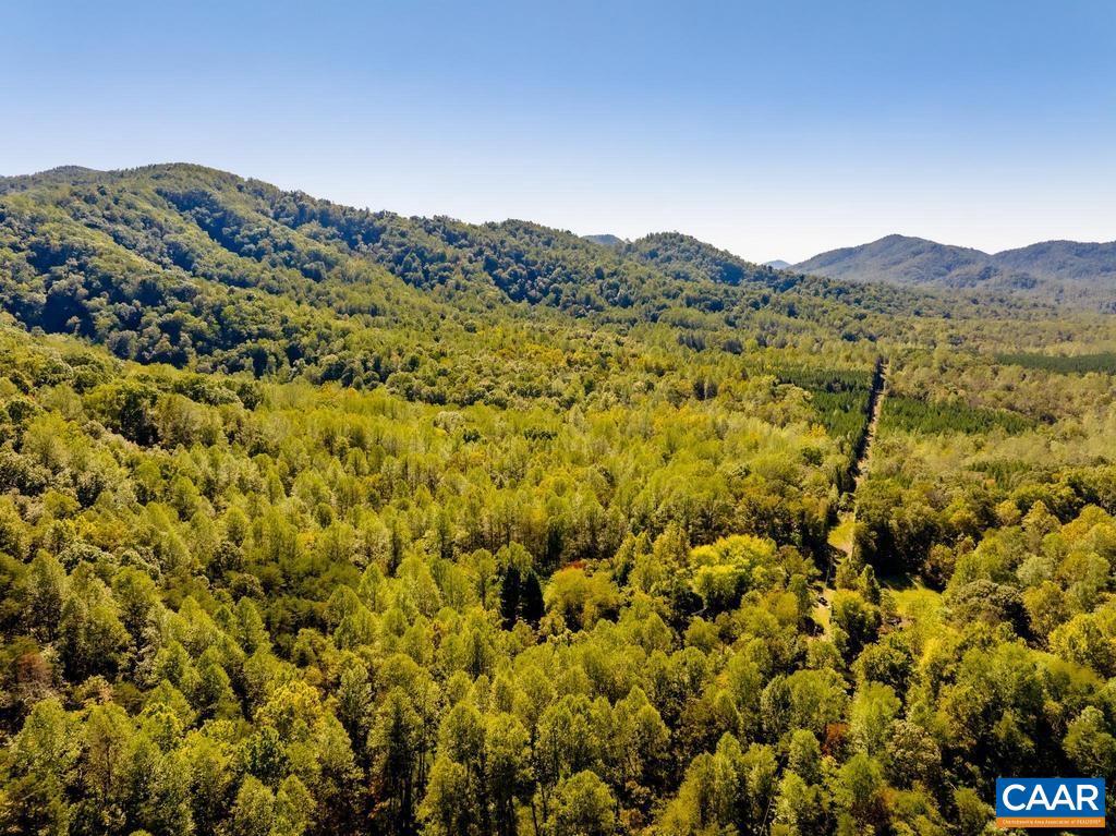 722 GREENFIELD MOUNTAIN FARM #19, 20, 21 AND 22, AFTON, Virginia 22920, ,Land,For sale,722 GREENFIELD MOUNTAIN FARM #19, 20, 21 AND 22,670951 MLS # 670951 722 GREENFIELD MOUNTAIN FARM #19, 20, 21 AND 22, AFTON, Virginia 22920, ,Land,For sale,722 GREENFIELD MOUNTAIN FARM #19, 20, 21 AND 22,670951 MLS # 670951