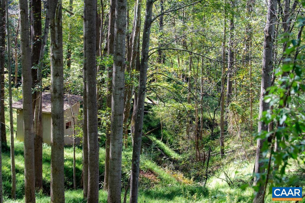 722 GREENFIELD MOUNTAIN FARM #19, 20, 21 AND 22, AFTON, Virginia 22920, ,Land,For sale,722 GREENFIELD MOUNTAIN FARM #19, 20, 21 AND 22,670951 MLS # 670951 722 GREENFIELD MOUNTAIN FARM #19, 20, 21 AND 22, AFTON, Virginia 22920, ,Land,For sale,722 GREENFIELD MOUNTAIN FARM #19, 20, 21 AND 22,670951 MLS # 670951