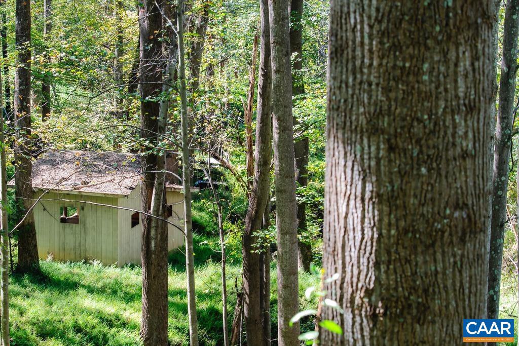 722 GREENFIELD MOUNTAIN FARM #19, 20, 21 AND 22, AFTON, Virginia 22920, ,Land,For sale,722 GREENFIELD MOUNTAIN FARM #19, 20, 21 AND 22,670951 MLS # 670951 722 GREENFIELD MOUNTAIN FARM #19, 20, 21 AND 22, AFTON, Virginia 22920, ,Land,For sale,722 GREENFIELD MOUNTAIN FARM #19, 20, 21 AND 22,670951 MLS # 670951