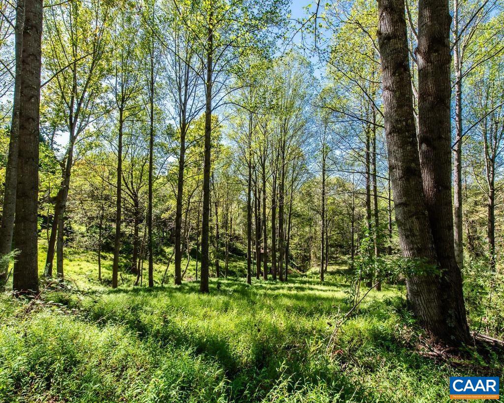 722 GREENFIELD MOUNTAIN FARM #19, 20, 21 AND 22, AFTON, Virginia 22920, ,Land,For sale,722 GREENFIELD MOUNTAIN FARM #19, 20, 21 AND 22,670951 MLS # 670951 722 GREENFIELD MOUNTAIN FARM #19, 20, 21 AND 22, AFTON, Virginia 22920, ,Land,For sale,722 GREENFIELD MOUNTAIN FARM #19, 20, 21 AND 22,670951 MLS # 670951