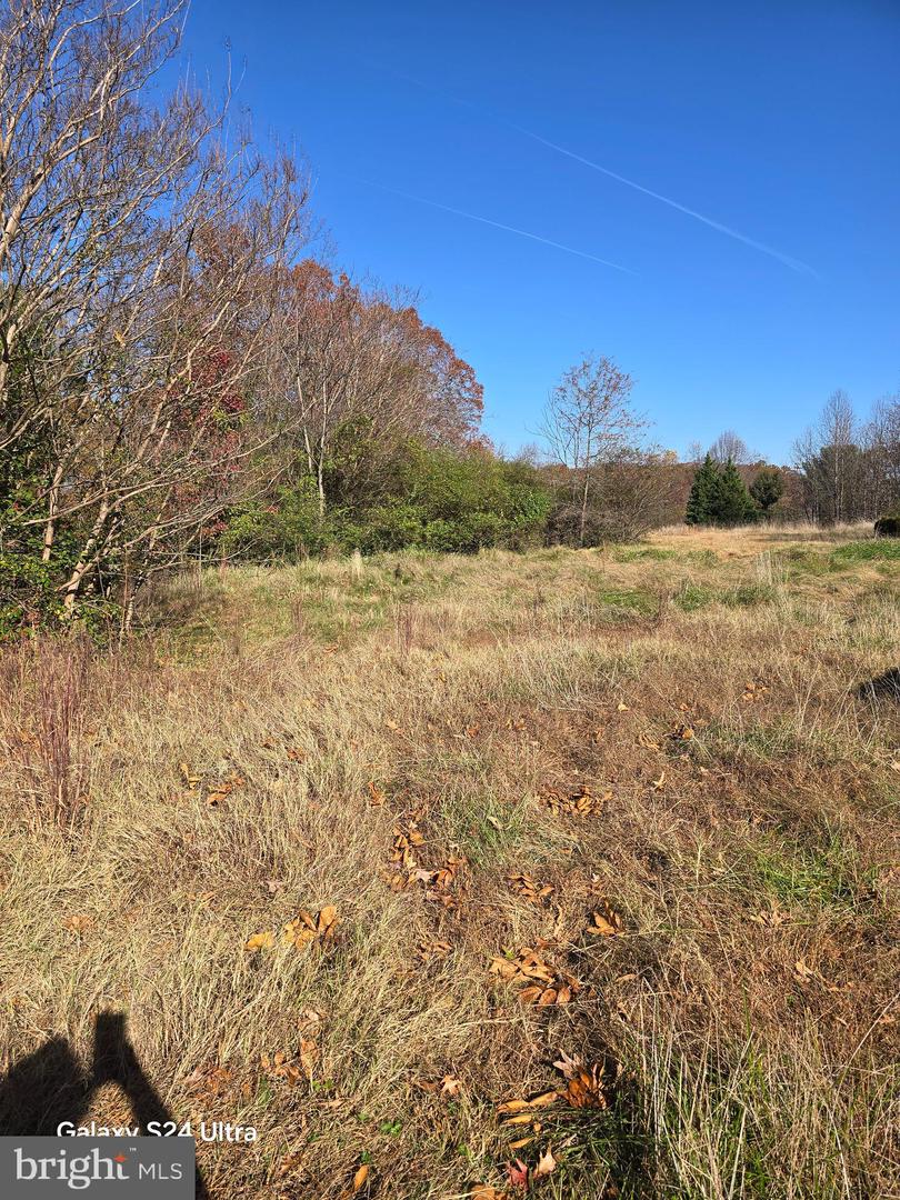 1715 WILLIAM ST, FREDERICKSBURG, Virginia 22401, ,Land,For sale,1715 WILLIAM ST,VAFB2009290 MLS # VAFB2009290