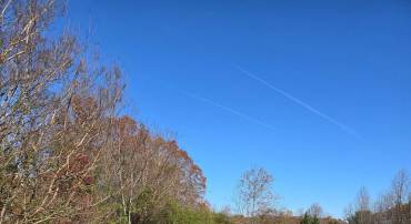 1715 WILLIAM ST, FREDERICKSBURG, Virginia 22401, ,Land,For sale,1715 WILLIAM ST,VAFB2009290 MLS # VAFB2009290