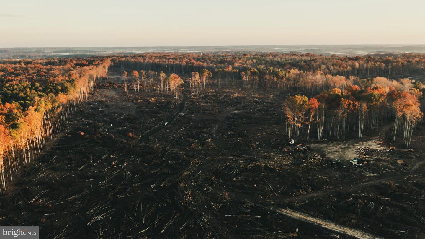 12600 W CATHARPIN RD, SPOTSYLVANIA, Virginia 22551, ,Farm,For sale,12600 W CATHARPIN RD,VASP2037526 MLS # VASP2037526