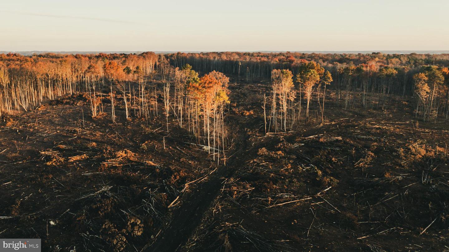 12600 W CATHARPIN RD, SPOTSYLVANIA, Virginia 22551, ,Farm,For sale,12600 W CATHARPIN RD,VASP2037526 MLS # VASP2037526