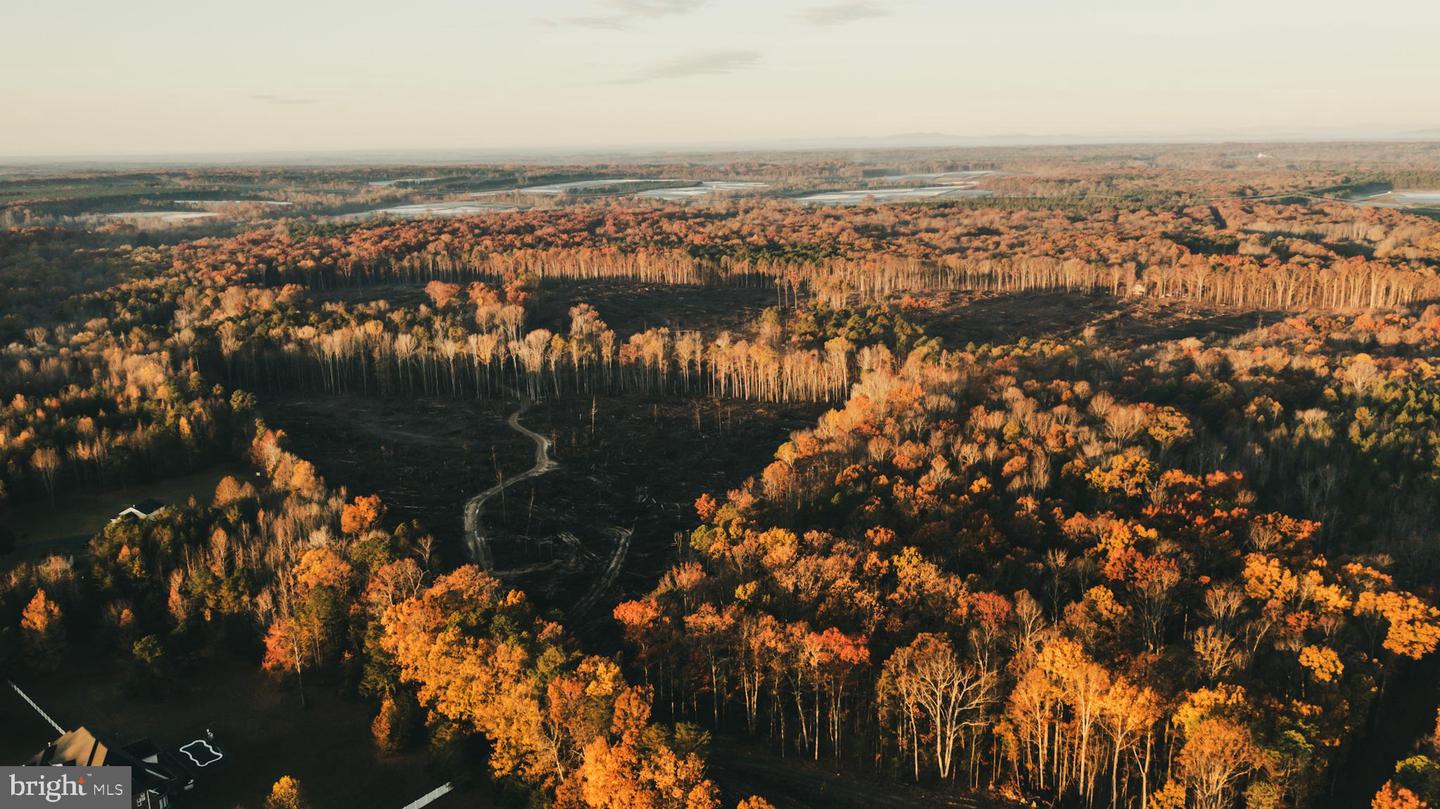 12600 W CATHARPIN RD, SPOTSYLVANIA, Virginia 22551, ,Farm,For sale,12600 W CATHARPIN RD,VASP2037526 MLS # VASP2037526