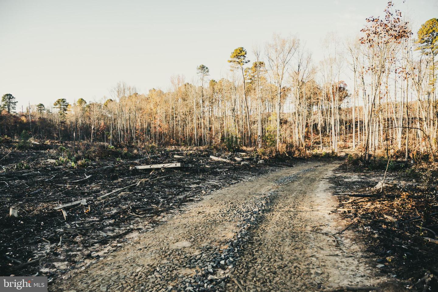 12600 W CATHARPIN RD, SPOTSYLVANIA, Virginia 22551, ,Farm,For sale,12600 W CATHARPIN RD,VASP2037526 MLS # VASP2037526