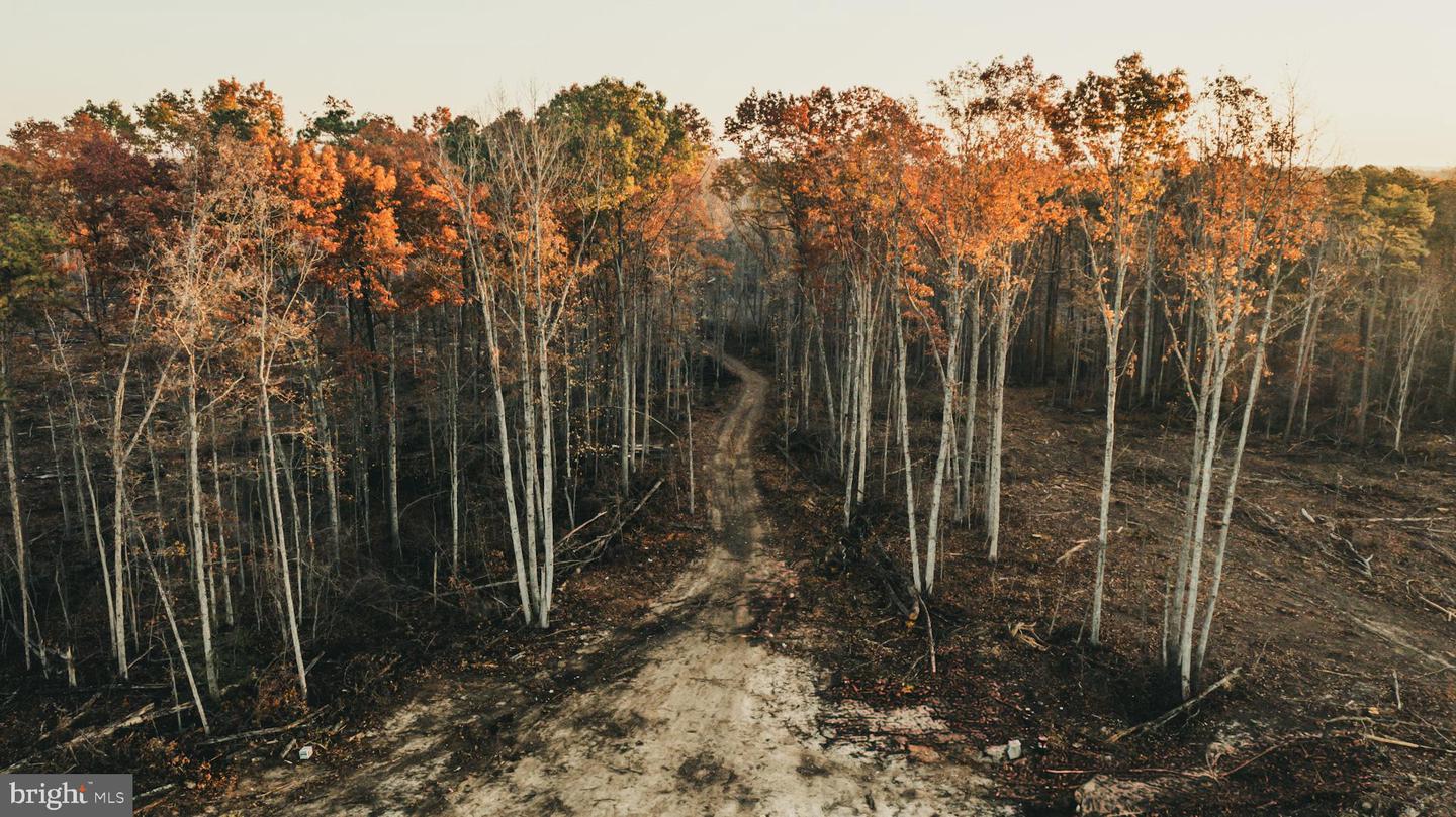 12600 W CATHARPIN RD, SPOTSYLVANIA, Virginia 22551, ,Farm,For sale,12600 W CATHARPIN RD,VASP2037526 MLS # VASP2037526