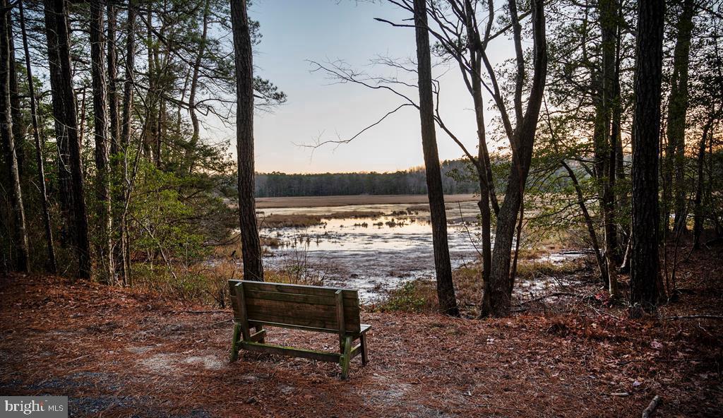 LOT 243 DOLPHIN DR, GREENBACKVILLE, Virginia 23356, 3 Bedrooms Bedrooms, ,2 BathroomsBathrooms,Residential,For sale,LOT 243 DOLPHIN DR,VAAC2002368 MLS # VAAC2002368