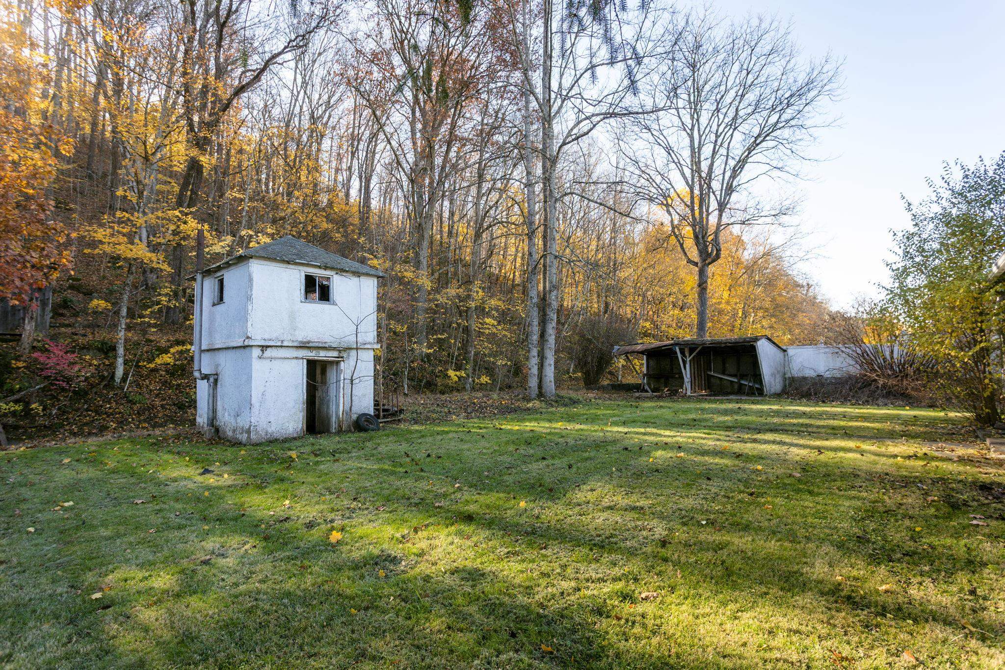 165 W RAILROAD AVE, CRAIGSVILLE, Virginia 24430, 4 Bedrooms Bedrooms, ,1 BathroomBathrooms,Residential,165 W RAILROAD AVE,670955 MLS # 670955