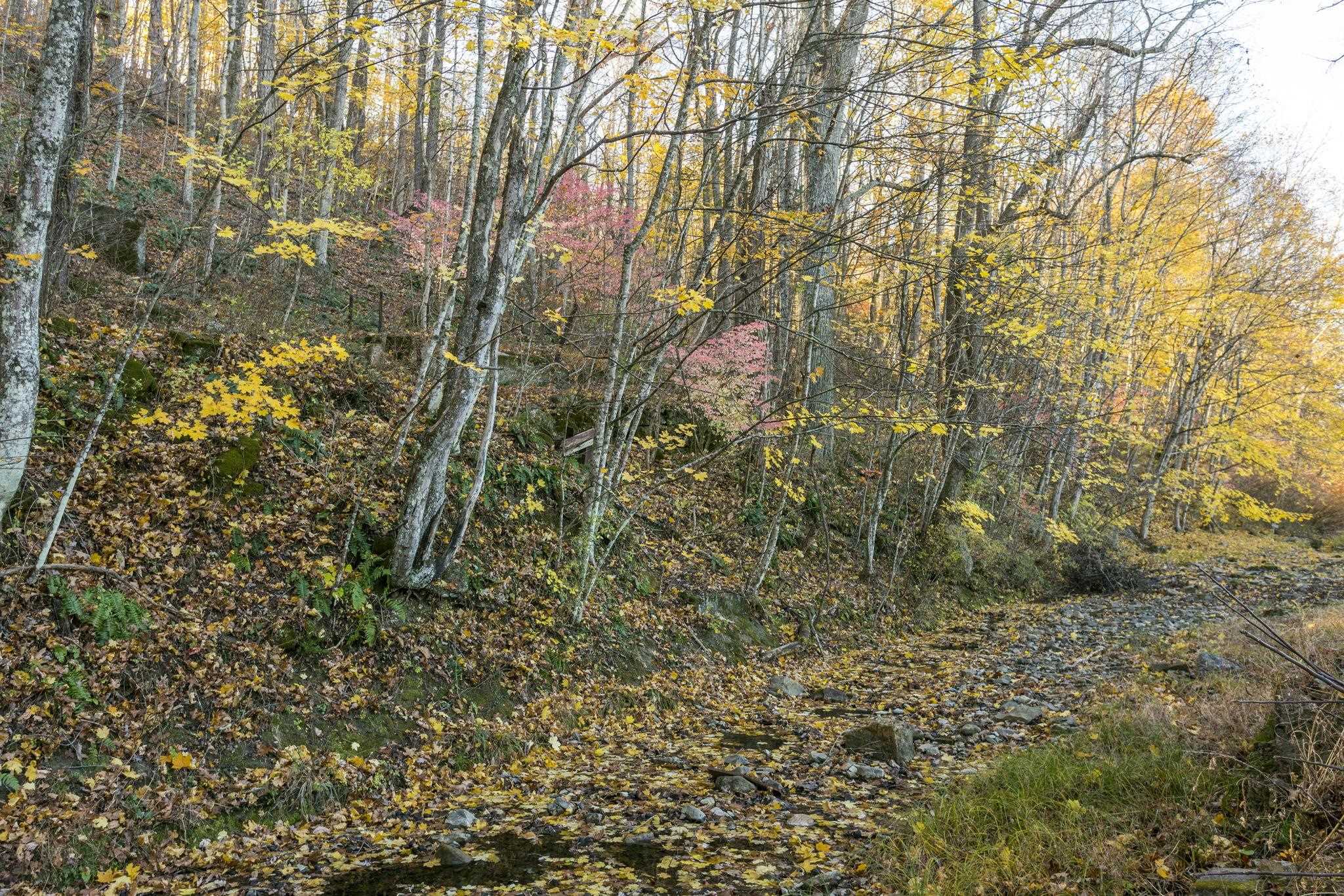 165 W RAILROAD AVE, CRAIGSVILLE, Virginia 24430, 4 Bedrooms Bedrooms, ,1 BathroomBathrooms,Residential,165 W RAILROAD AVE,670955 MLS # 670955