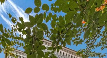 506 7TH ST NE, WASHINGTON, District Of Columbia 20002, 4 Bedrooms Bedrooms, ,2 BathroomsBathrooms,Residential,For sale,506 7TH ST NE,DCDC2229138 MLS # DCDC2229138