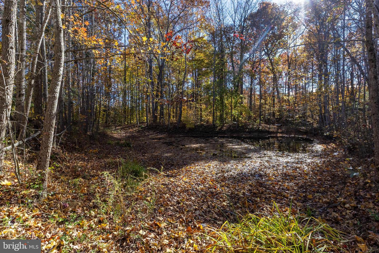 600 SIGNBOARD, BUMPASS, Virginia 23024, 3 Bedrooms Bedrooms, ,2 BathroomsBathrooms,Residential,For sale,600 SIGNBOARD,VALA2008890 MLS # VALA2008890