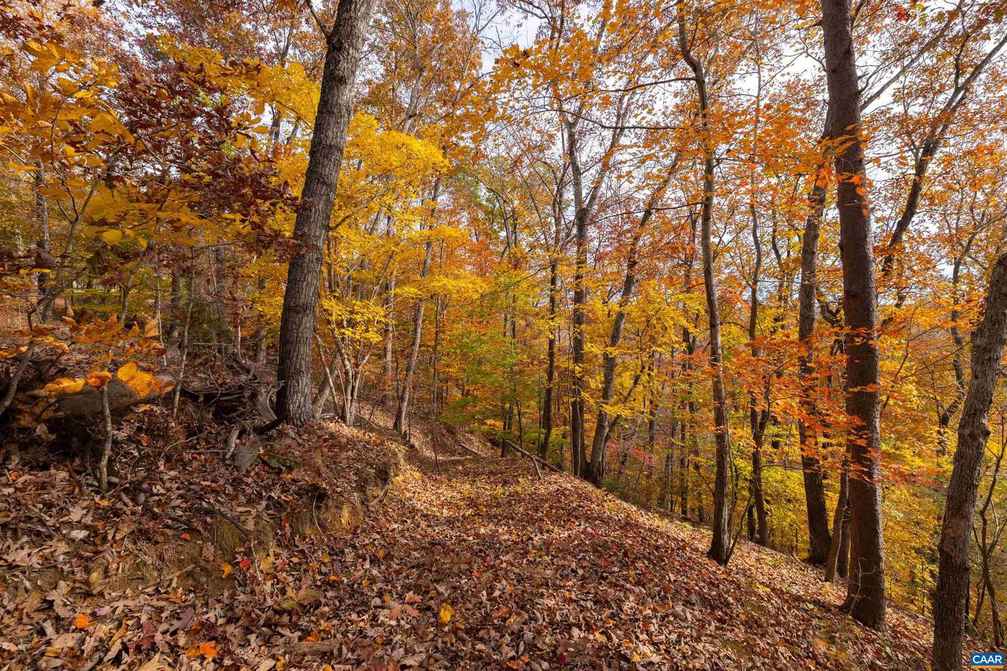 125 RIVER BREEZE CT, HOWARDSVILLE, Virginia 24562, 2 Bedrooms Bedrooms, ,2 BathroomsBathrooms,Residential,For sale,125 RIVER BREEZE CT,670946 MLS # 670946