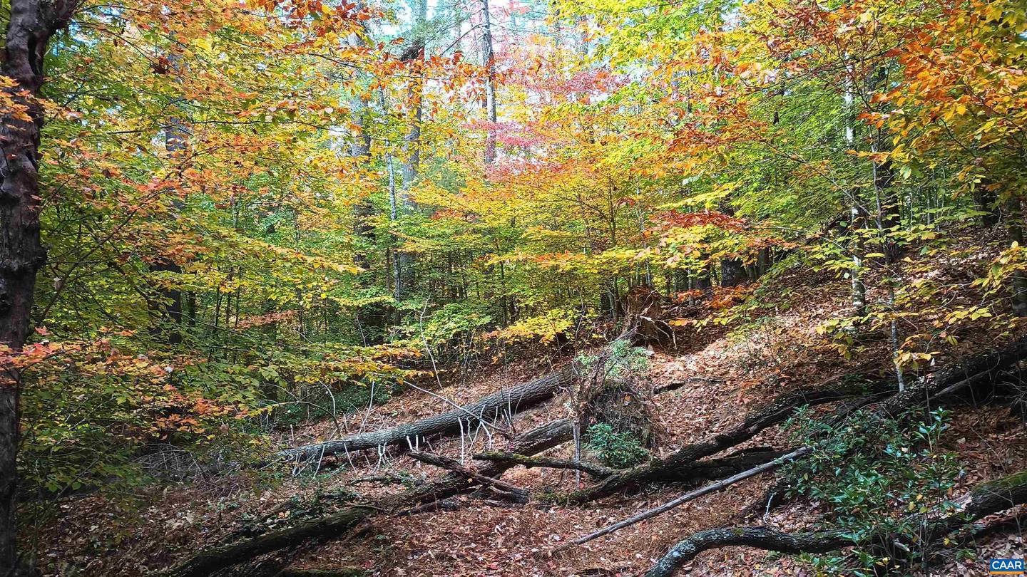 125 RIVER BREEZE CT, HOWARDSVILLE, Virginia 24562, 2 Bedrooms Bedrooms, ,2 BathroomsBathrooms,Residential,For sale,125 RIVER BREEZE CT,670946 MLS # 670946