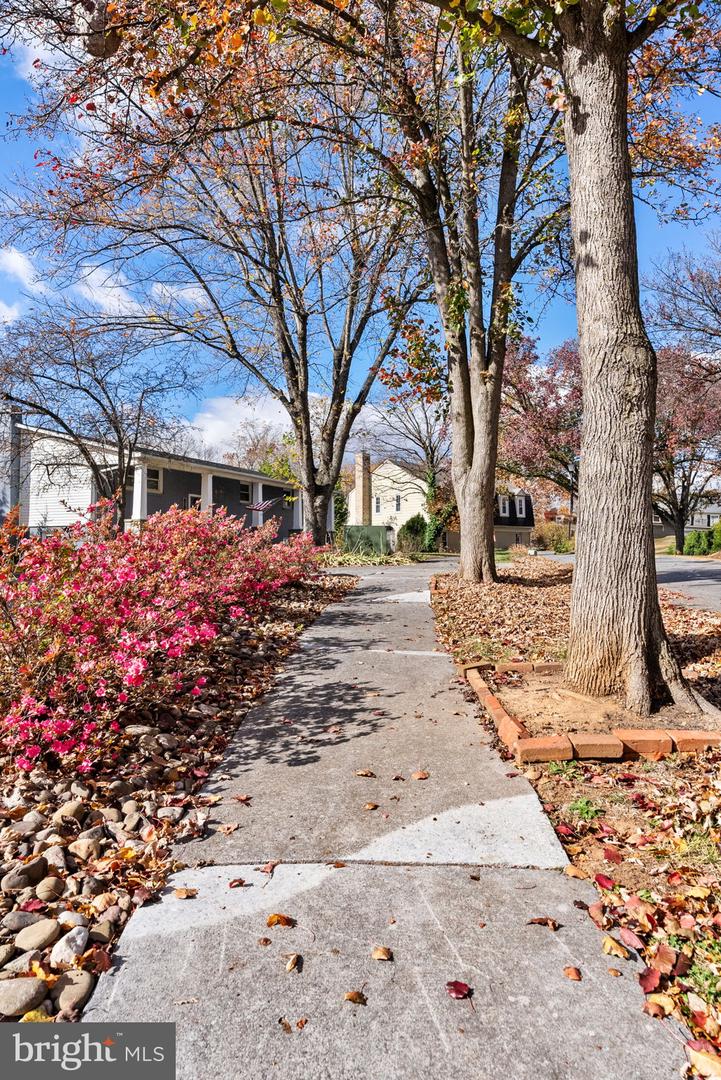 553 BELLVIEW AVE, WINCHESTER, Virginia 22601, 5 Bedrooms Bedrooms, ,2 BathroomsBathrooms,Residential,For sale,553 BELLVIEW AVE,VAWI2009450 MLS # VAWI2009450