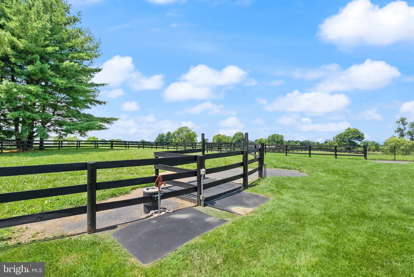 34642 ATOKA CHASE LN, MIDDLEBURG, Virginia 20117, 5 Bedrooms Bedrooms, 10 Rooms Rooms,4 BathroomsBathrooms,Residential,For sale,34642 ATOKA CHASE LN,VALO2110916 MLS # VALO2110916 34642 ATOKA CHASE LN, MIDDLEBURG, Virginia 20117, 5 Bedrooms Bedrooms, 10 Rooms Rooms,4 BathroomsBathrooms,Residential,For sale,34642 ATOKA CHASE LN,VALO2110916 MLS # VALO2110916