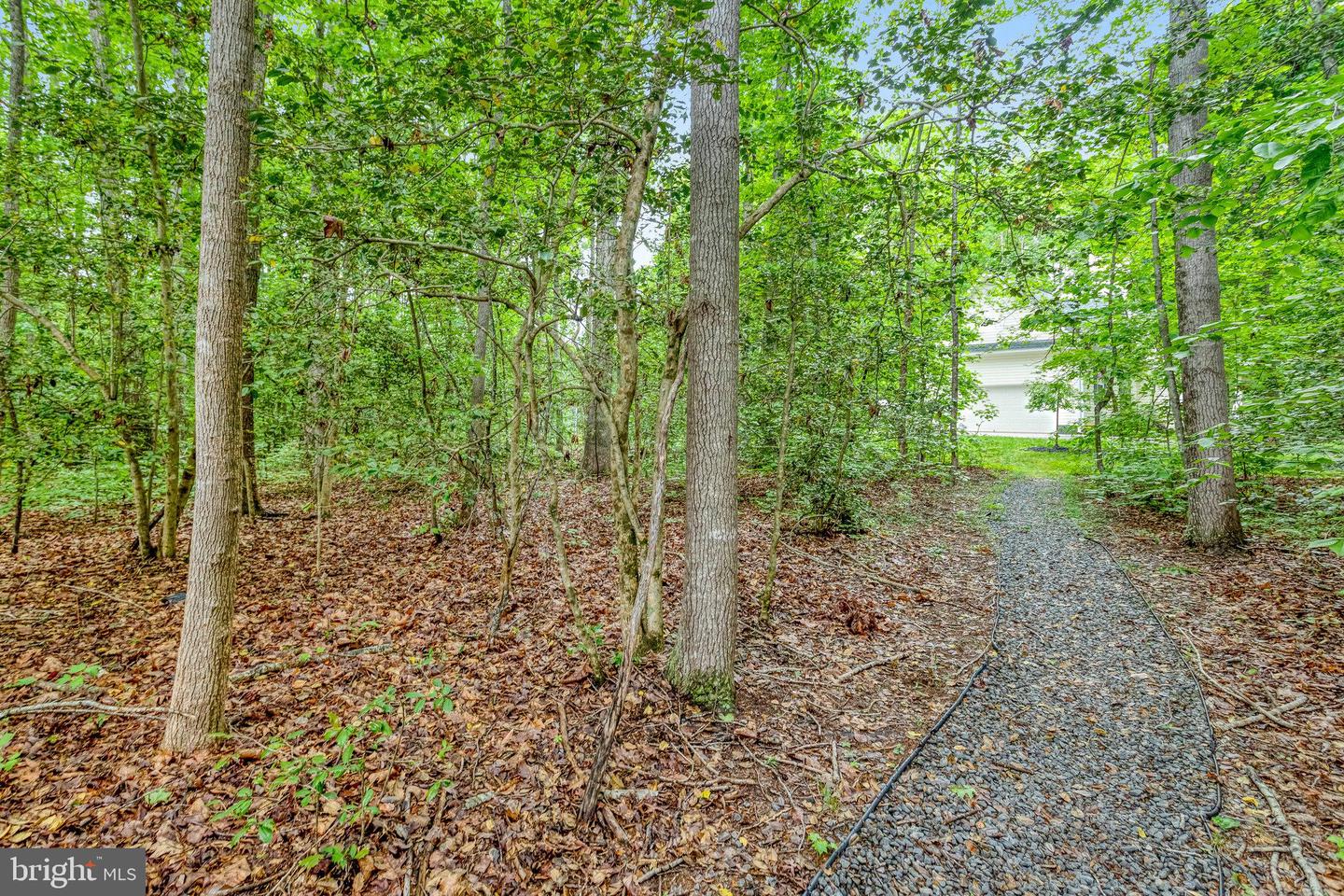 5832 RED FOX DR, SPOTSYLVANIA, Virginia 22551, 3 Bedrooms Bedrooms, ,2 BathroomsBathrooms,Residential,For sale,5832 RED FOX DR,VASP2037524 MLS # VASP2037524