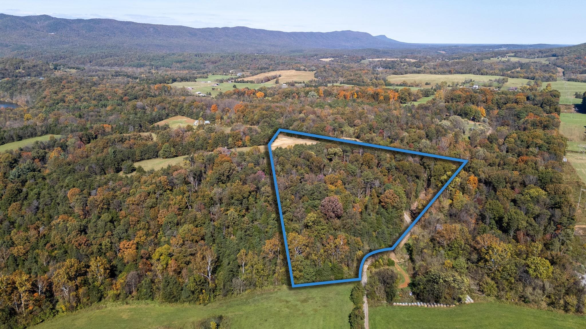 Lot 1 YOUNG RD, RILEYVILLE, Virginia 22650, ,Land,Lot 1 YOUNG RD,670971 MLS # 670971 Lot 1 YOUNG RD, RILEYVILLE, Virginia 22650, ,Land,Lot 1 YOUNG RD,670971 MLS # 670971