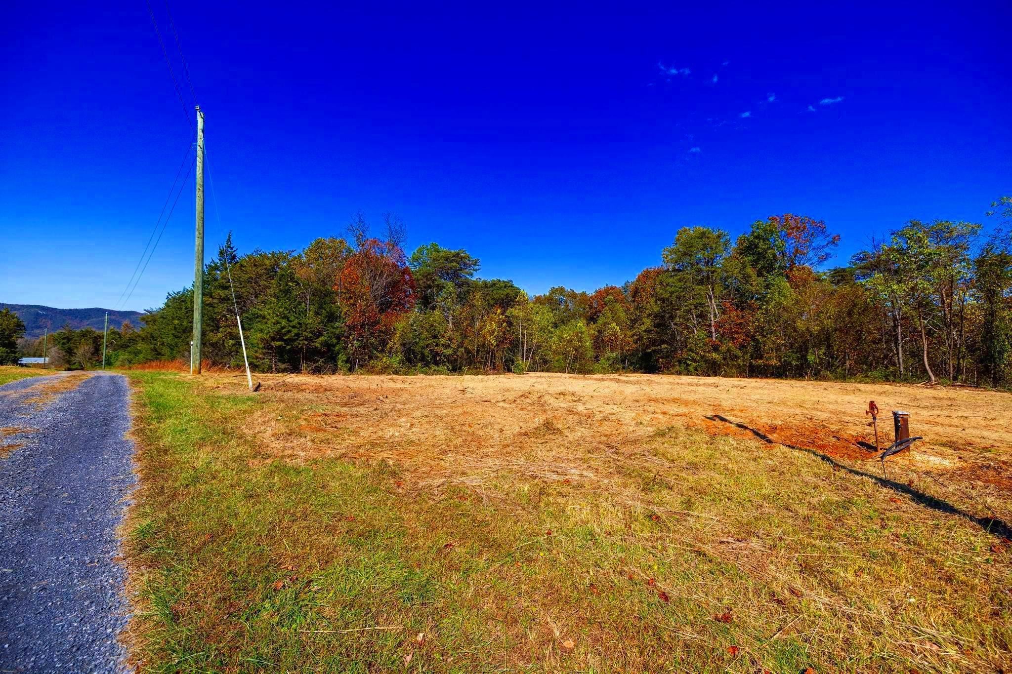 Lot 2 YOUNG RD, RILEYVILLE, Virginia 22650, ,Land,Lot 2 YOUNG RD,670972 MLS # 670972 Lot 2 YOUNG RD, RILEYVILLE, Virginia 22650, ,Land,Lot 2 YOUNG RD,670972 MLS # 670972
