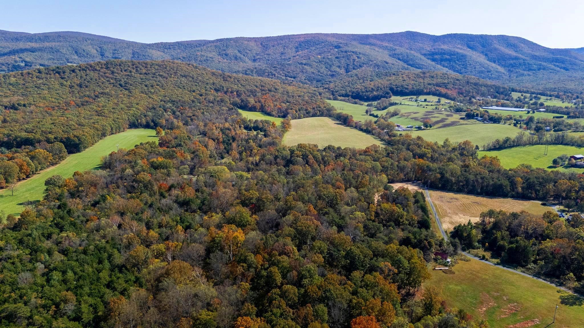 Lot 2 YOUNG RD, RILEYVILLE, Virginia 22650, ,Land,Lot 2 YOUNG RD,670972 MLS # 670972 Lot 2 YOUNG RD, RILEYVILLE, Virginia 22650, ,Land,Lot 2 YOUNG RD,670972 MLS # 670972