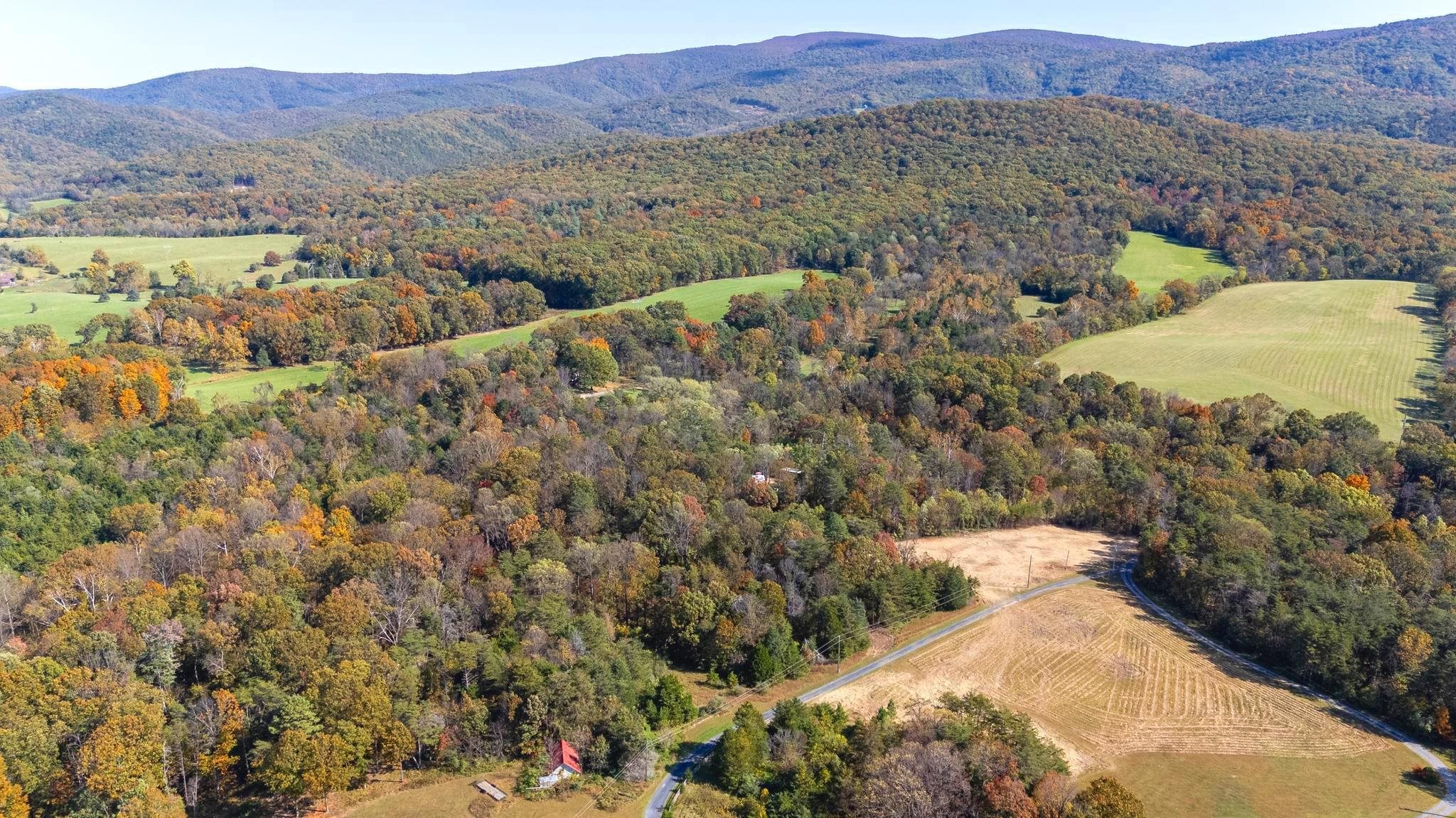 Lot 2 YOUNG RD, RILEYVILLE, Virginia 22650, ,Land,Lot 2 YOUNG RD,670972 MLS # 670972 Lot 2 YOUNG RD, RILEYVILLE, Virginia 22650, ,Land,Lot 2 YOUNG RD,670972 MLS # 670972
